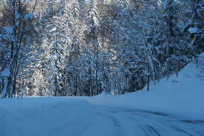 Scenic view of snow covered land