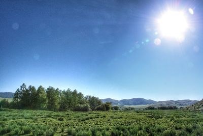 Scenic view of field against blue sky on sunny day