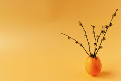 Close-up of orange fruits against sky during sunset