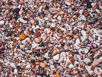 Full frame shot of pebbles on beach