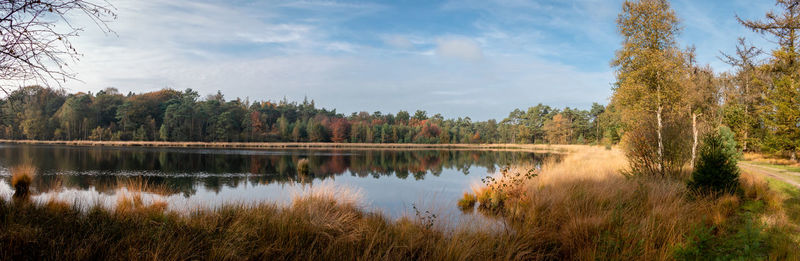 Panorama view of a bog lake in the netherlands, national park dwingelderveld, taken in autumn time