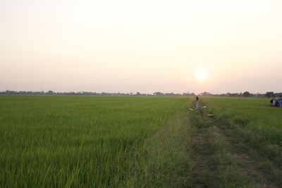 Scenic view of field against clear sky