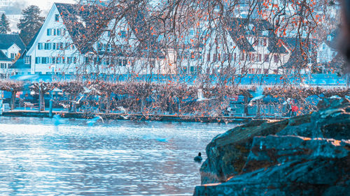 Reflection of bare trees in lake