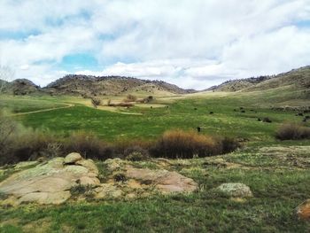 Scenic view of field against sky
