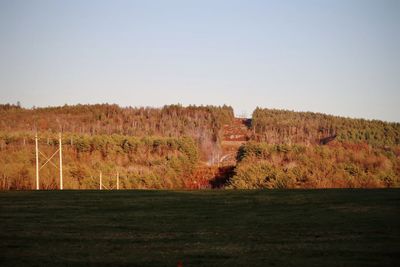 Scenic view of field against clear sky