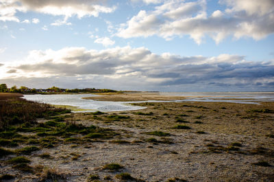 Scenic view of beach against sky