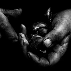 Close-up of cropped hand