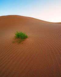 Scenic view of desert against clear sky