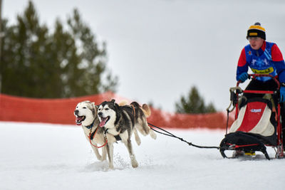 Man with dog on snow during winter