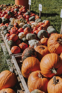 High angle view of pumpkins for sale at market stall