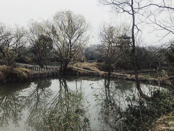 Reflection of trees in lake against sky