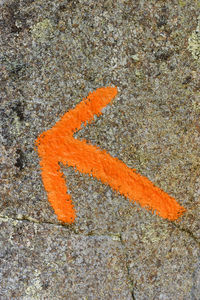 High angle view of orange leaf in city
