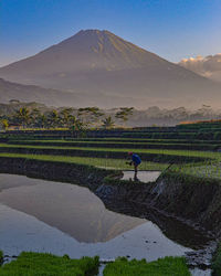 Scenic view of field against mountains