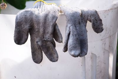 Close-up of elephant hanging against white wall