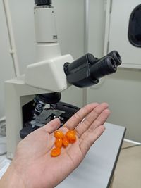 Cropped image of person holding orange