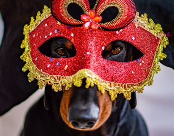 Close-up of man wearing mask