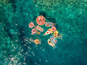 High angle view of jellyfish swimming in sea