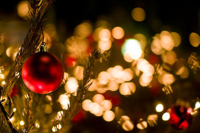 Close-up of christmas tree