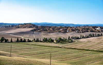 Scenic view of agricultural field against sky