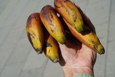 Close-up of hand holding fruit