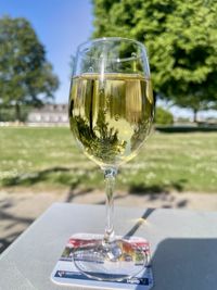 wine