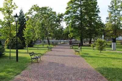 Empty pathway along trees in park