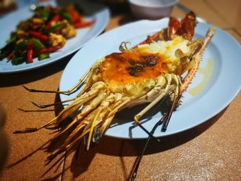 High angle view of meal served in plate