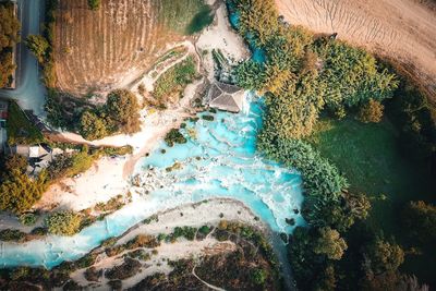 High angle view of trees on sea