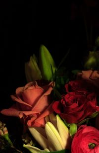 Close-up of flowers over white background
