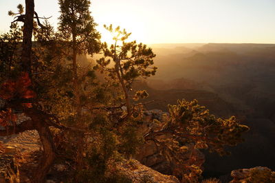 Scenic view of tree mountains against sky at sunset
