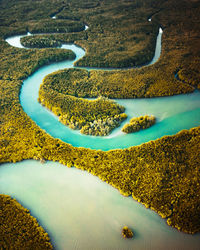 Veins of phang nga bay