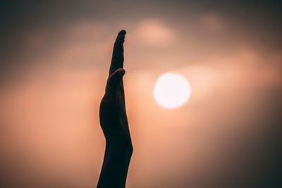 Silhouette woman standing by tree against sky during sunset
