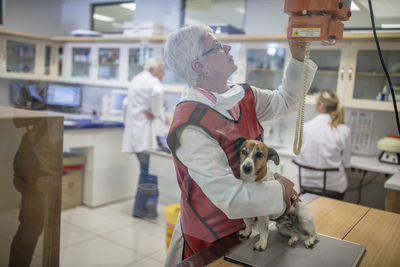 Woman getting a dog ready for x-rays