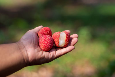 Close-up of hand holding strawberry