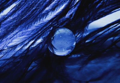 Full frame shot of water drop