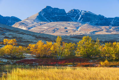 Mountain scenery with autumn colors autumn colors