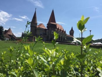 Plants by building against sky