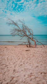 Scenic view of beach against sky