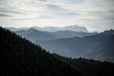 Mountain range with forest in the foreground