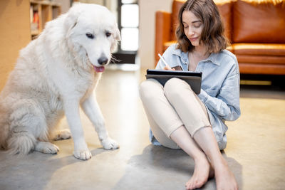 Dog looking away while sitting on floor