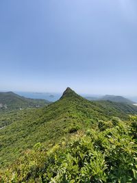 nature