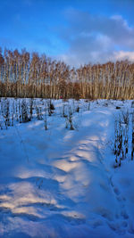 Frozen landscape against sky