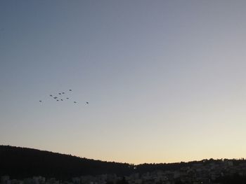 Birds flying over dark background