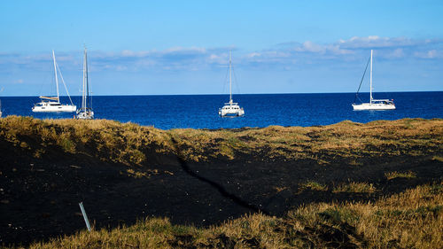 Sailboats sailing on sea against sky