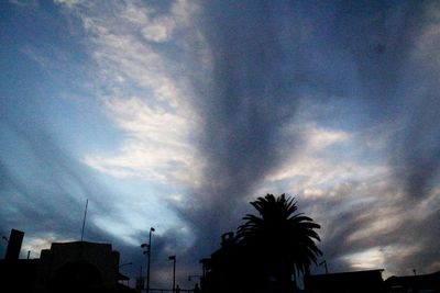 Low angle view of palm trees against cloudy sky