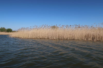 Scenic view of lake against clear blue sky