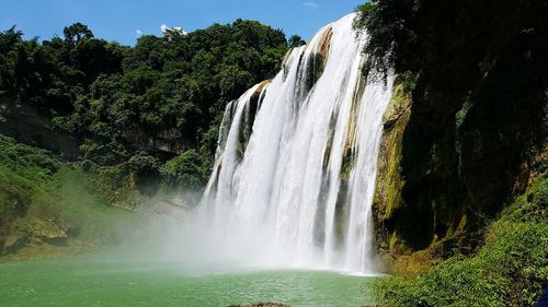 Scenic view of waterfall in forest