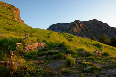 Scenic view of landscape against clear sky