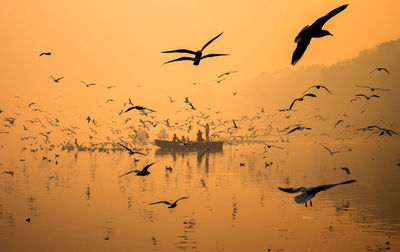 High angle view of birds flying over lake