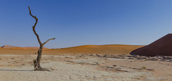 Sand dunes in desert against clear sky